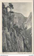 Rax Old Postcard Not Travelled B181025 - Raxgebiet