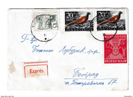 Yugoslavia Letter Cover Posted Express 1960 Titovo Užice To Beograd - Childrens Week Postal Tax Stamp B210112 - Covers & Documents