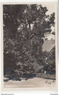 Millstatt Am See Old Postcard Unused B201101 - Millstatt