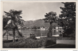 Locarno, Muralto Old Postcard Unused B180410 - Muralto