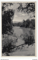 Palestine River Jordan Old Unused Postcard (Lehnert & Landrock Succ., Cairo) B190601 - Jordanie