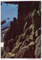 Dyrfjoll, Old Postcard Travelled ? Bb 150929 - Iceland