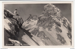 Zugspitze Old Postcard Travelled 1936 B170915 - Zugspitze