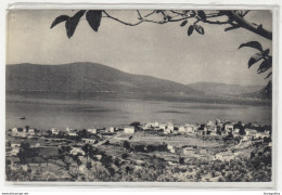 Tivat Old Postcard Posted 1960 B191020 - Montenegro