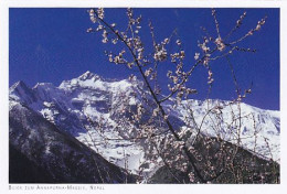 AK 167726 NEPAL - Blick Zum Annapurna Massiv - Népal