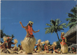 Moorea - Groupe De Dance Temae - Polinesia Francesa