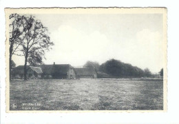 WESTMALLE Groote Hoeve  1950 - Malle