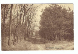 Westmalle Hooge Heide 1933 - Malle