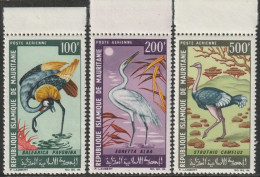 THEMATIC  BIRDS:  OSTRICH, GRUE, EGRET  -  MAURITANIE - Grues Et Gruiformes