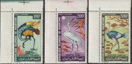 THEMATIC  BIRDS:  OSTRICH, GRUE, EGRET  -  MAURITANIE - Grues Et Gruiformes