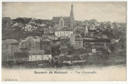 8 - Souvenir De Walcourt - Vue D'ensemble - Walcourt