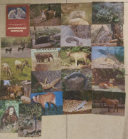 SD)RUSSIA. MOSCOW ZOO. 20 POSTCARDS - Collezioni