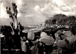 2-10-2023 (3 U 9) Italy - Cefalu (b/w) With CACTUS (posted To France 1967) - Cactus