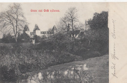 AK - NÖ - Gruss Aus Orth An Der Donau - 1908 - Gänserndorf