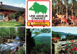 BELGIQUE - Luxembourg - Multivues - Colorisé - Carte Postale - Autres & Non Classés