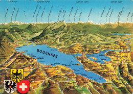 ILLUSTRATEURS - Carte De Bodensee - Colorisé - Carte Postale Ancienne - Sonstige & Ohne Zuordnung