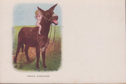 1905. USA. Postcard CUPID'S CONFIDANTE. Small Baby-girl On Donkey.  - JF444331 - Otros & Sin Clasificación