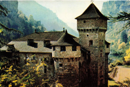 PHOTOGRAPHIE - Les Gorges Du Tarn - Le Château De La Caze - Colorisé - Carte Postale Ancienne - Fotografia