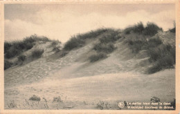 BELGIQUE - Middelkerke - Le Sentier Tracé Dans La Dune - Carte Postale Ancienne - Middelkerke