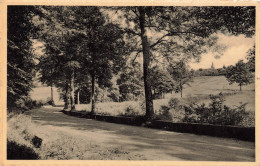 BELGIQUE - Roche-sur-Semois - La Route Vers Alle - Carte Postale Ancienne - Otros & Sin Clasificación