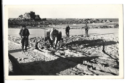 29  Cleder -  Sabliers A Lamiet - Cléder