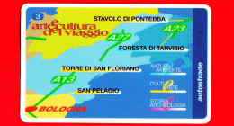 VIACARD - Serie Arte E Cultura Del Viaggio - Cartina D'insieme 3/7 -  Tessera N. 518 - 50.000 - Pub - 07.1999 - Autres & Non Classés
