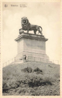 BELGIQUE - Waterloo - Le Lion - Carte Postale Ancienne - Waterloo