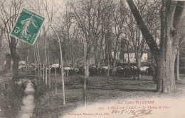 Lisle Sur Tarn  Le Champ De Foire..edit Poux  Albi  No 323 - Lisle Sur Tarn