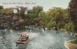 Lake In The Public Garden, Boston, Massachusetts - Boston