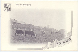 CP - Mouscron - Rue Du Rucquoy - Repro - Mouscron - Moeskroen