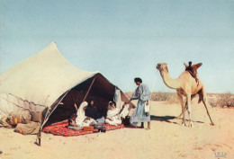 MAURITANIA - Vie Nomade - Mauritania