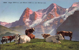 ANIMAUX & FAUNE - Vache - Troupeau  De Vaches - Colorisé - Carte Postale Ancienne - Koeien