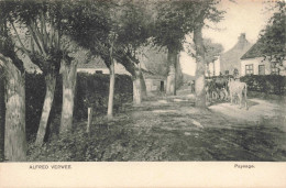 ANIMAUX & FAUNE - Paysage - Vaches - Carte Postale Ancienne - Vaches