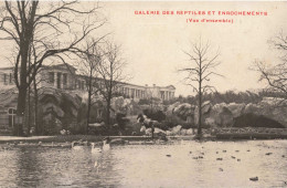 BELGIQUE - Jardin Zoologique D'Anvers - La Galerie Des Reptiles Et Enrochements - Carte Postale Ancienne - Antwerpen