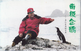 China 2000 The Penguins In Antarctica Pre-stamped Postal Cards 12v - Pingouins & Manchots