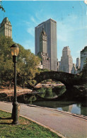 ETATS-UNIS - New York - Ventral Park Et Avenue Hotels - Colorisé - Carte Postale - Central Park