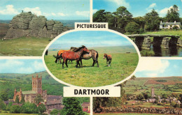 ROYAUME-UNI - Dartmoor - Pituresque - Colorisé - Carte Postale Ancienne - Otros & Sin Clasificación