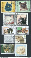 Lot 10 Stamps With Cats, Gatti, Canceled. Different Countries, See Below - Chats Domestiques