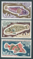 TAAF - FSAT - 1972  -  Poissons  - N° 43 à 45 - Neufs *  - MLH - Neufs