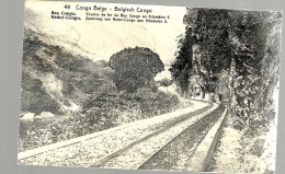 CP N° 49 « Chemin De Fer Du BAS – CONGO  » Ayant Circulé D’ELISABETH Vers MONS (1921) - Lettres & Documents