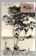 CP N° 71 « La Lukula – Arbre à Copal » Ayant Circulé De LUSAMBO Vers MONS (1921) - Briefe U. Dokumente