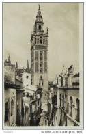 Séville - La Giralda - Sevilla