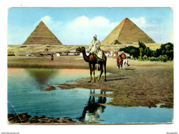 Egypt The Giza Pyramids Old Postcard Posted 1960 To Yugoslavia B200401 - Gizeh