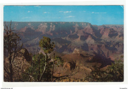 Grand Canyon Old Postcard Posted 1957 To Germany B200210 - Grand Canyon