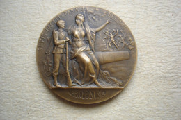 Militaria Belle Médaille De Préparation Militaire PROPATRIA En Bronze - France