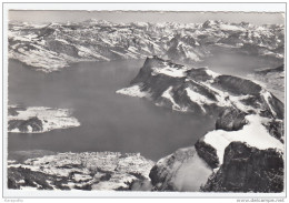 Pilatus-Kulm Blick Auf Den Vierwaldstättersee Old Postcard Travelled 1958 Bb151217 - Wald