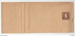 United States Postal Stationery Newspaper Wraper Unused B200501 - Andere & Zonder Classificatie