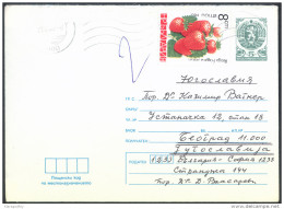 Bulgaria Postal Statinery Cover Travelled 198? Strawbery On Stamp Bb150924 - Sobres