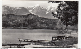 Klopeinersee Mit Hochobir Old Postcard Unused B180122 - Klopeinersee-Orte