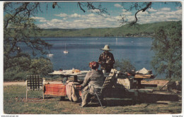 USA, Millerton Lake Postcard Unused B170420 - Fresno